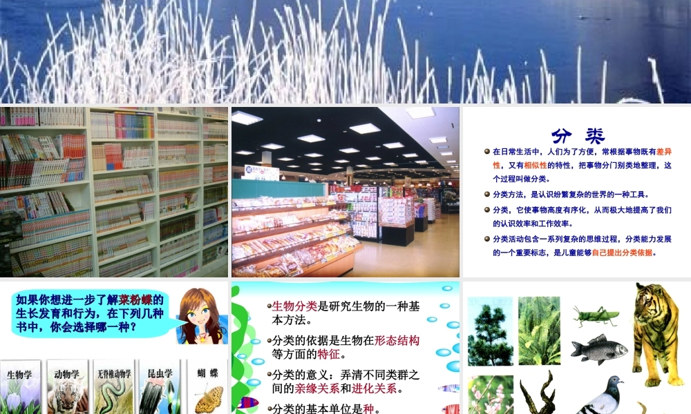 八年级生物尝试对生物分类新人教版