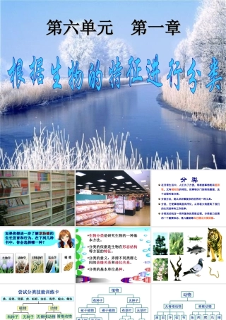 八年级生物尝试对生物分类新人教版