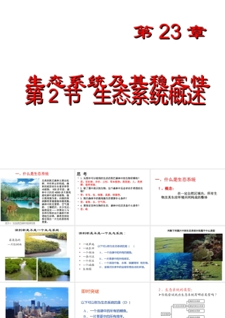 八年级生物下册 第23章 第2节《生态系统概述》课件 北师大版