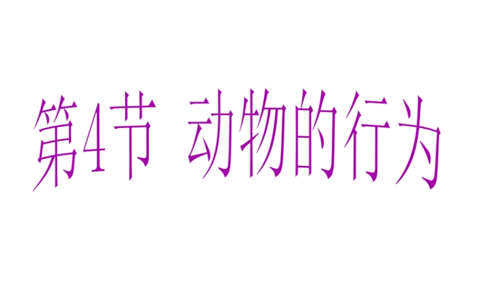 八年级科学上册 第3章 生命活动的调节 3.4《动物的行为》课件（2） 浙教版-浙教版初中八年级上册自然科学课件