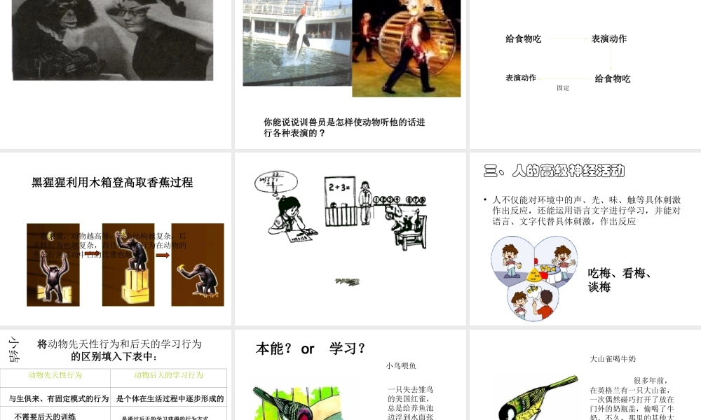 八年级科学上册 第3章 生命活动的调节 3.4《动物的行为》课件（2） 浙教版-浙教版初中八年级上册自然科学课件