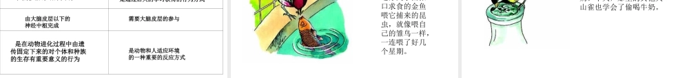 八年级科学上册 第3章 生命活动的调节 3.4《动物的行为》课件（2） 浙教版-浙教版初中八年级上册自然科学课件