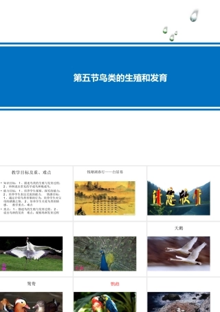 八年级生物下册 第八单元 生物的生殖、发育与遗传 第二十一章 生物的生殖与发育 第五节 鸟类的生殖与发育课件1（新版）苏教版-（新版）苏教级下册生物课件