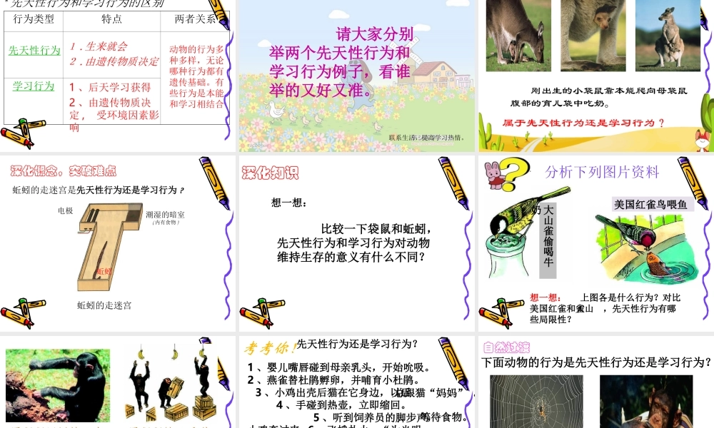 八年级生物动物的先天性行为和学习行为说课 新人教版