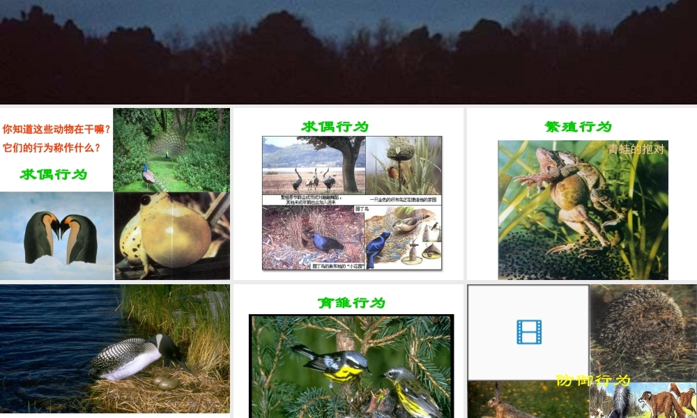 八年级科学上册 第3章 生命活动的调节 3.4《动物的行为》课件（3） 浙教版-浙教版初中八年级上册自然科学课件