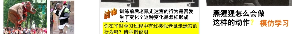 八年级科学上册 第3章 生命活动的调节 3.4《动物的行为》课件（3） 浙教版-浙教版初中八年级上册自然科学课件