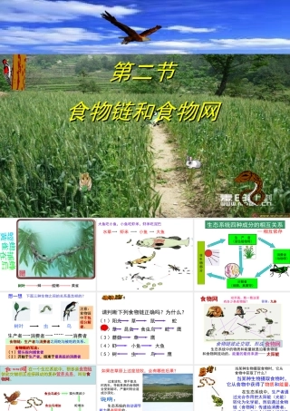 八年级生物下册 第7单元 第2章 第2节 食物链和食物网课件 （新版）冀教版-（新版）冀教级下册生物课件