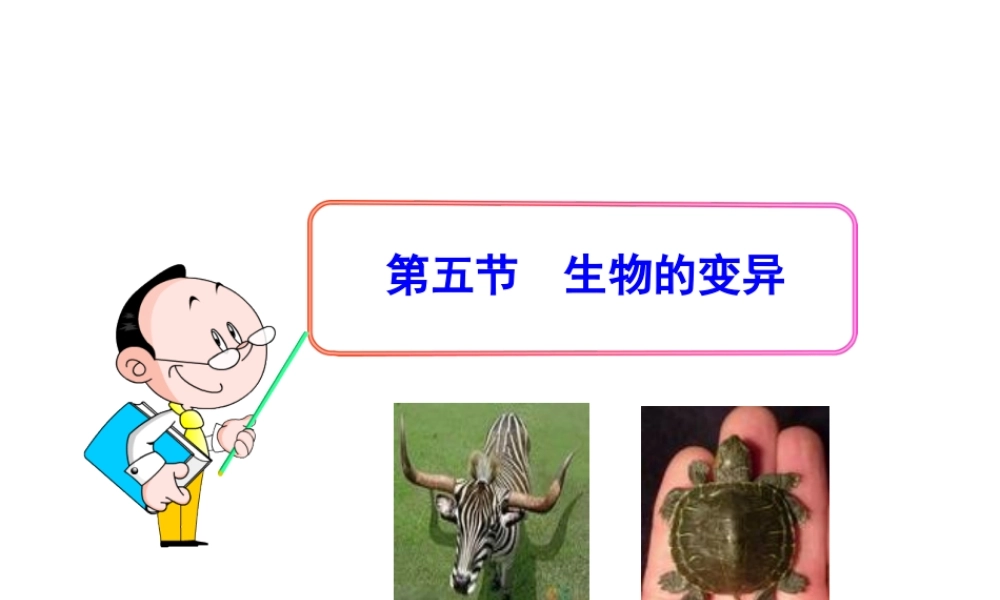 八年级生物下册 第二十二章 第5节《生物的变异》课件 （新版）苏教版