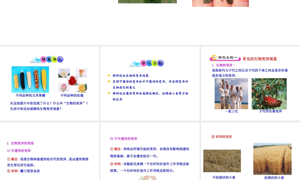 八年级生物下册 第二十二章 第5节《生物的变异》课件 （新版）苏教版