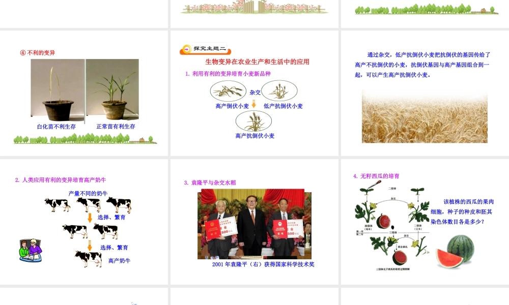 八年级生物下册 第二十二章 第5节《生物的变异》课件 （新版）苏教版