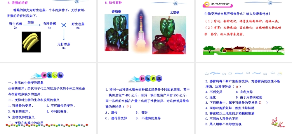八年级生物下册 第二十二章 第5节《生物的变异》课件 （新版）苏教版