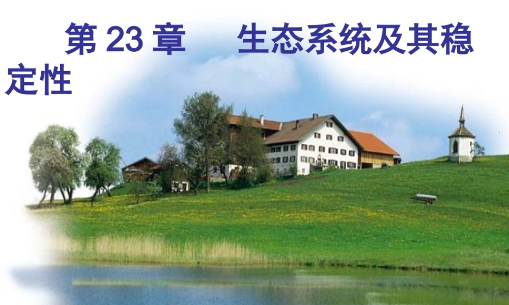 八年级生物下册 第23章 第3节 生态系统的结构和功能课件 北师大版