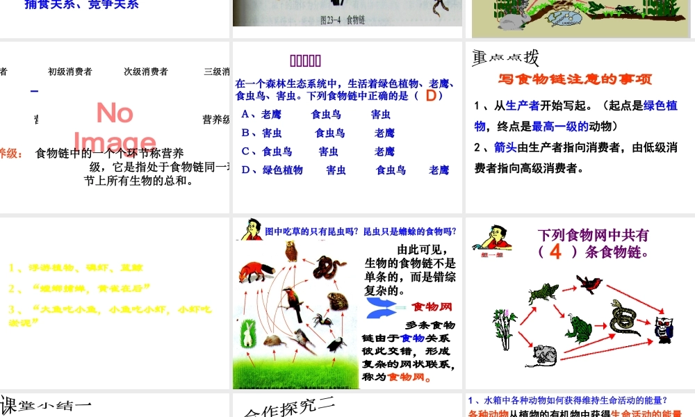 八年级生物下册 第23章 第3节 生态系统的结构和功能课件 北师大版