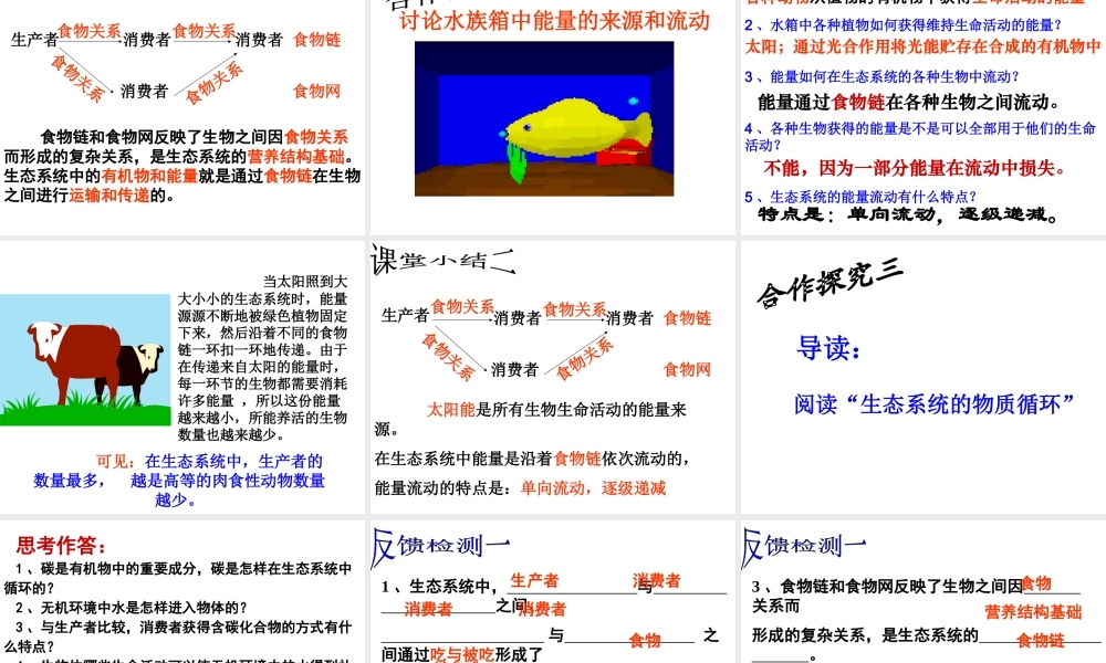 八年级生物下册 第23章 第3节 生态系统的结构和功能课件 北师大版