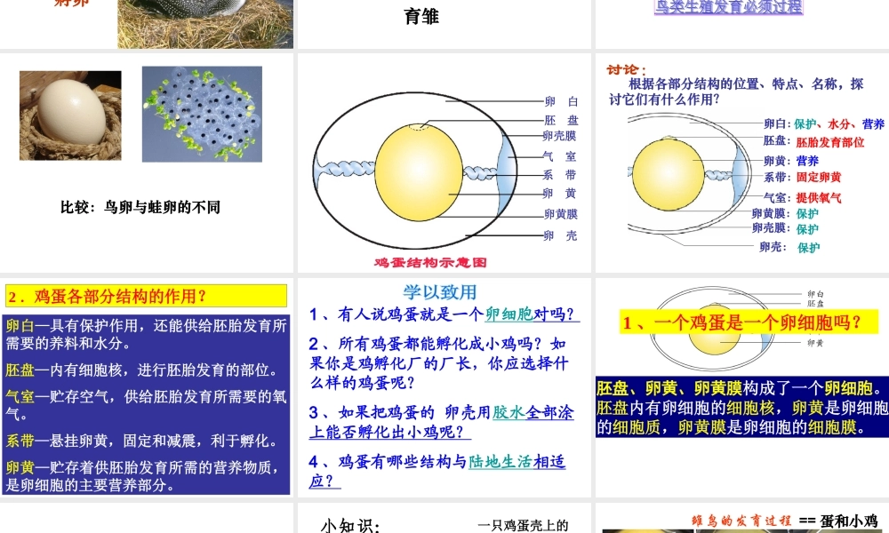 八年级生物下册 第八单元 生物的生殖、发育与遗传 第二十一章 生物的生殖与发育 第五节 鸟类的生殖与发育课件2（新版）苏教版-（新版）苏教版初中八年级下册生物课件
