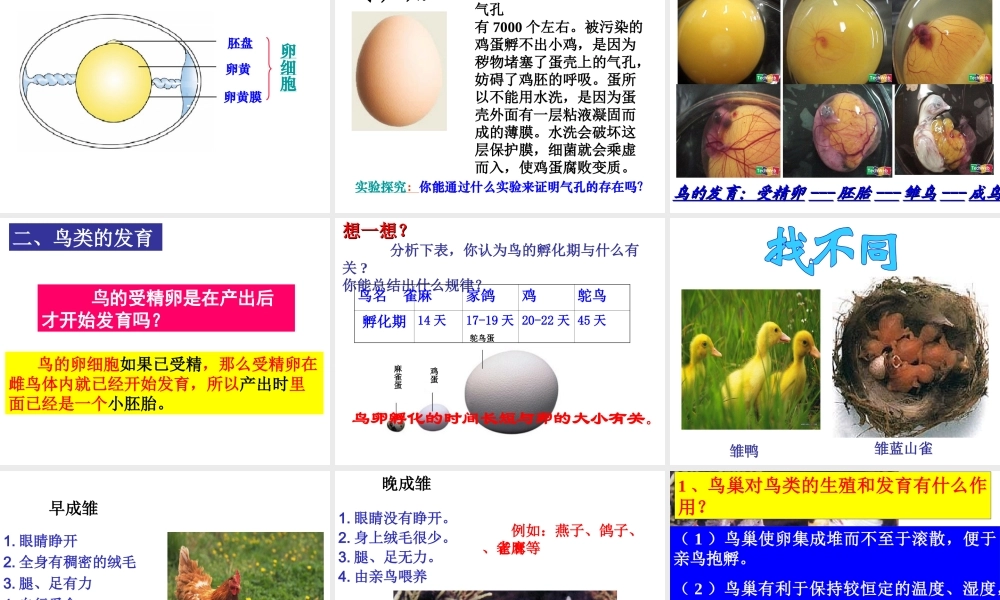 八年级生物下册 第八单元 生物的生殖、发育与遗传 第二十一章 生物的生殖与发育 第五节 鸟类的生殖与发育课件2（新版）苏教版-（新版）苏教版初中八年级下册生物课件