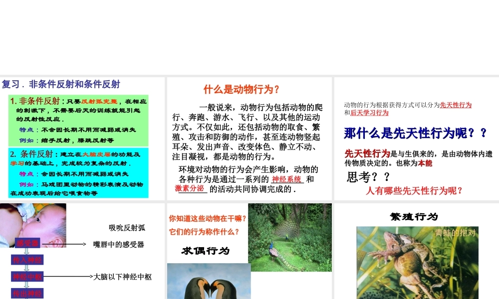 八年级科学上册 第3章 生命活动的调节 3.4《动物的行为》课件（4） 浙教版-浙教版初中八年级上册自然科学课件