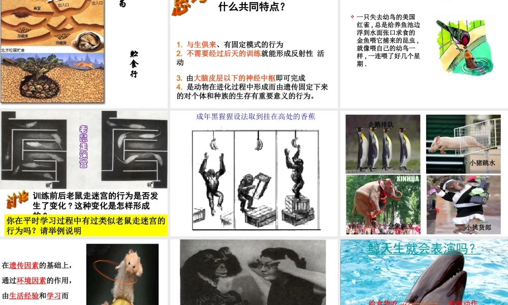 八年级科学上册 第3章 生命活动的调节 3.4《动物的行为》课件（4） 浙教版-浙教版初中八年级上册自然科学课件