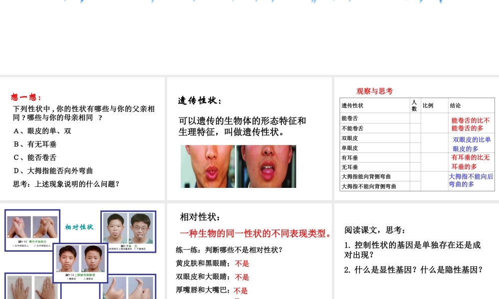 八年级生物下册 第二十二章 第二节 人的性状和遗传课件1 （新版）苏教版