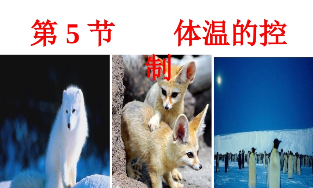 八年级科学上册 第3章 生命活动的调节 3.5《体温的控制》课件（1） 浙教版-浙教版初中八年级上册自然科学课件