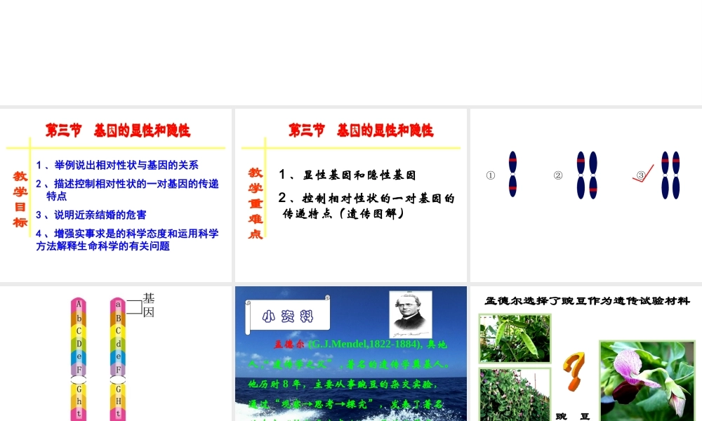 八年级生物下册 第7单元 第2章 第3节 基因的显性和隐性课件 （新版）新人教版-（新版）新人教级下册生物课件