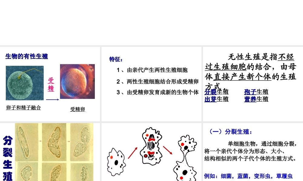 八年级生物下册 第八单元 生物的生殖、发育与遗传 第二十一章 生物的生殖与发育 第一节 生物的无性生殖课件1（新版）苏教版-（新版）苏教版初中八年级下册生物课件