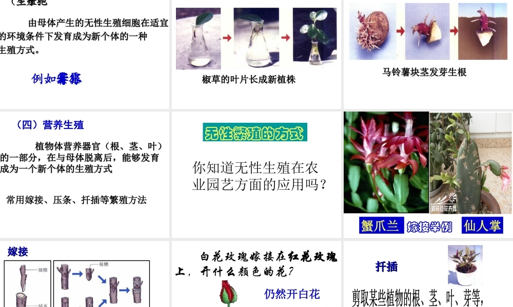 八年级生物下册 第八单元 生物的生殖、发育与遗传 第二十一章 生物的生殖与发育 第一节 生物的无性生殖课件1（新版）苏教版-（新版）苏教版初中八年级下册生物课件