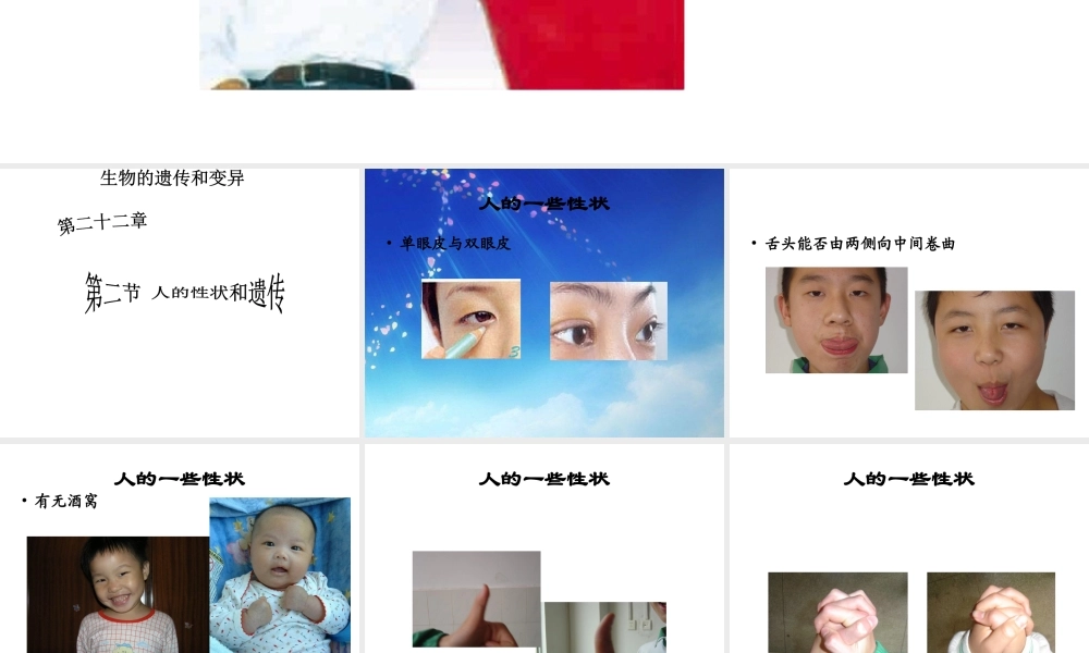 八年级生物下册 第二十二章 第二节 人的性状和遗传课件2 （新版）苏教版