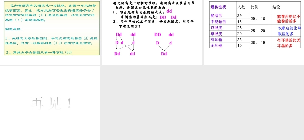 八年级生物下册 第二十二章 第二节 人的性状和遗传课件2 （新版）苏教版