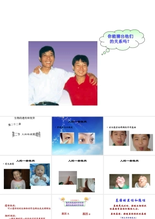 八年级生物下册 第二十二章 第二节 人的性状和遗传课件2 （新版）苏教版