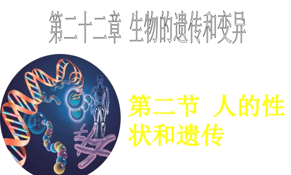 八年级生物下册 第二十二章 第二节 人的性状和遗传课件3 （新版）苏教版