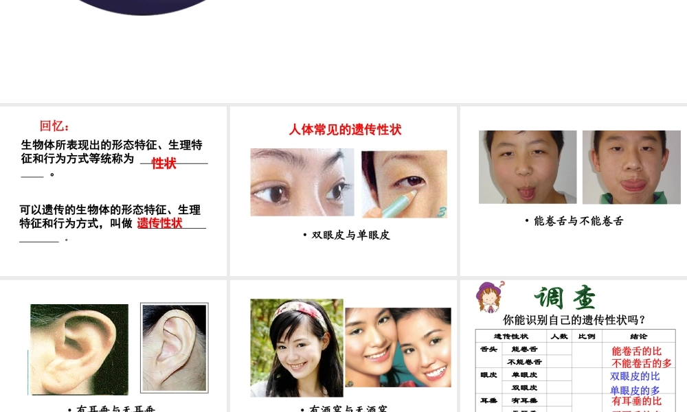 八年级生物下册 第二十二章 第二节 人的性状和遗传课件3 （新版）苏教版