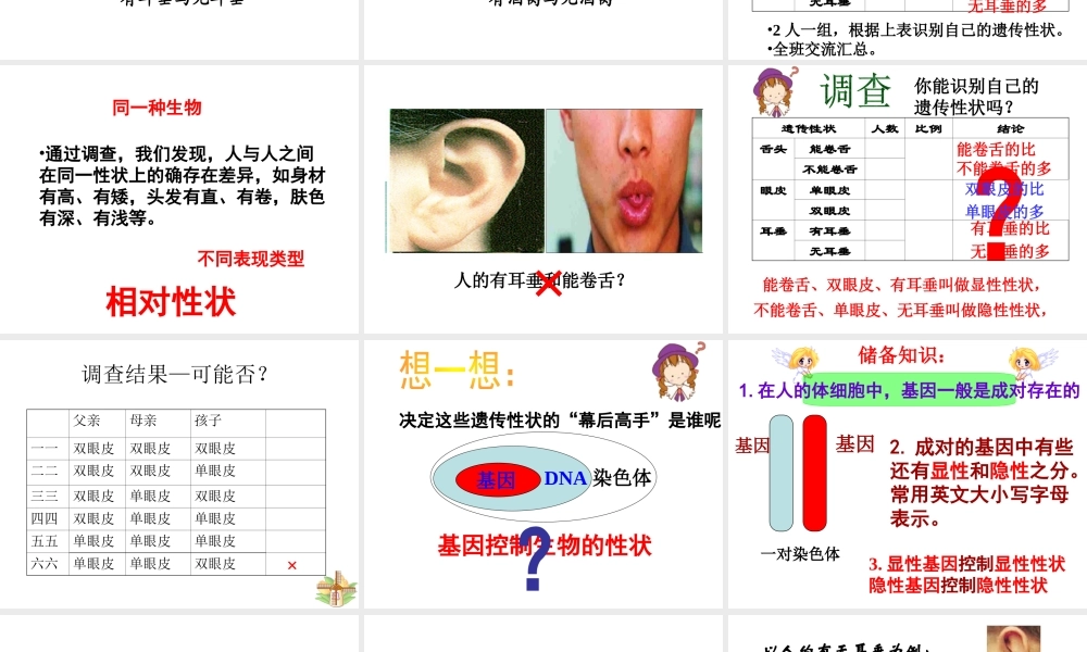 八年级生物下册 第二十二章 第二节 人的性状和遗传课件3 （新版）苏教版