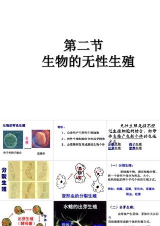 八年级生物下册 第八单元 生物的生殖、发育与遗传 第二十一章 生物的生殖与发育 第一节 生物的无性生殖课件1（新版）苏教版-（新版）苏教级下册生物课件