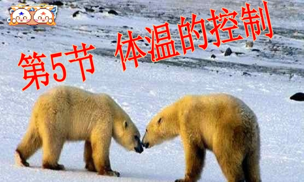 八年级科学上册 第3章 生命活动的调节 3.5《体温的控制》课件（3） 浙教版-浙教版初中八年级上册自然科学课件