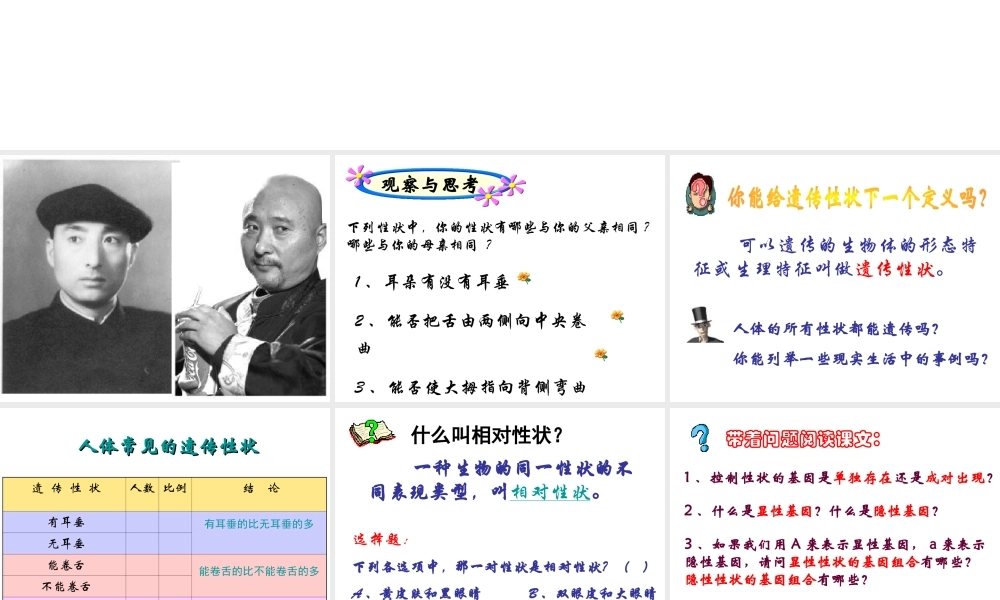 八年级生物下册 第二十二章 第二节 人的性状和遗传课件4 （新版）苏教版