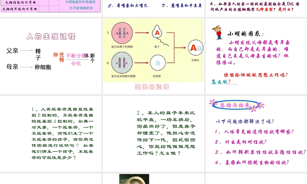 八年级生物下册 第二十二章 第二节 人的性状和遗传课件4 （新版）苏教版