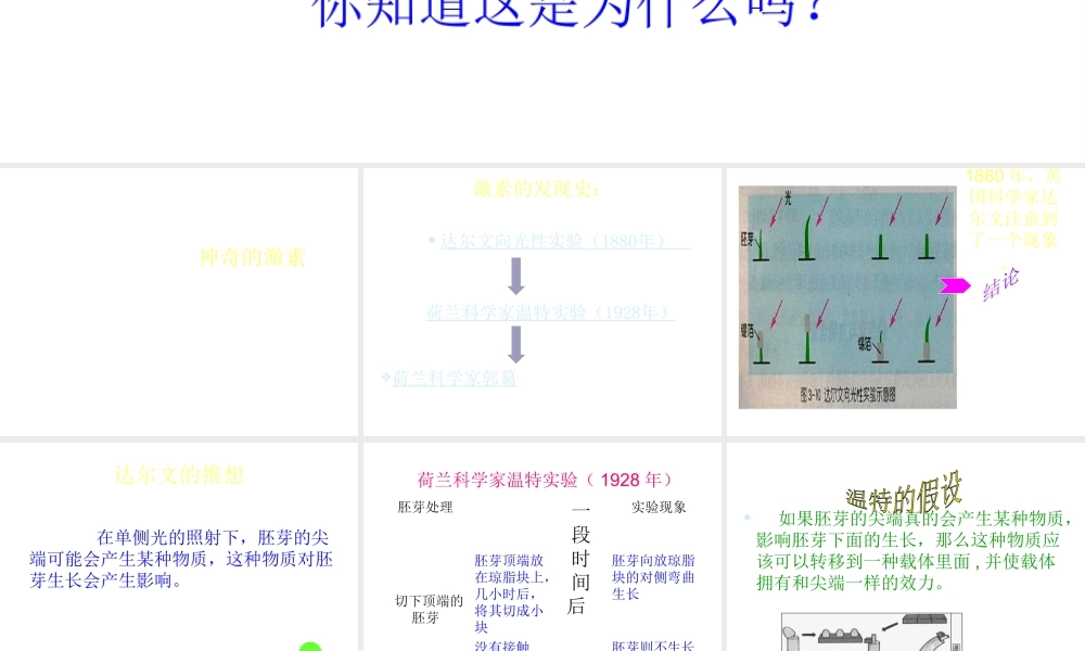 八年级科学上册 第3章 生命活动的调节 第二节神奇的激素 课件浙教版(一)