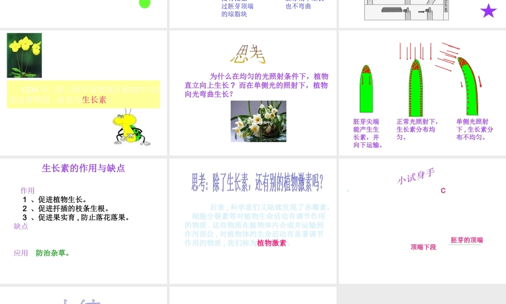 八年级科学上册 第3章 生命活动的调节 第二节神奇的激素 课件浙教版(一)