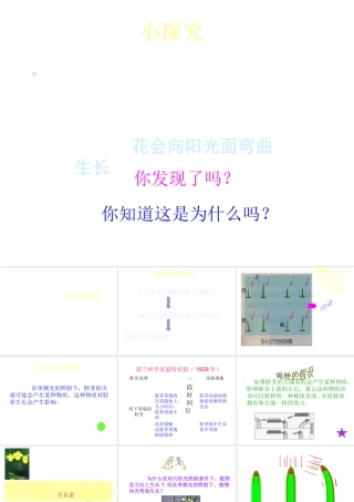 八年级科学上册 第3章 生命活动的调节 第二节神奇的激素 课件浙教版(一)