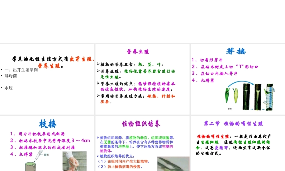 八年级生物下册 第八单元 生物的生殖、发育与遗传 第二十一章 生物的生殖与发育 第一节 生物的无性生殖课件2（新版）苏教版-（新版）苏教级下册生物课件