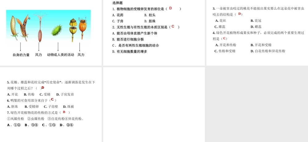 八年级生物下册 第八单元 生物的生殖、发育与遗传 第二十一章 生物的生殖与发育 第一节 生物的无性生殖课件2（新版）苏教版-（新版）苏教级下册生物课件