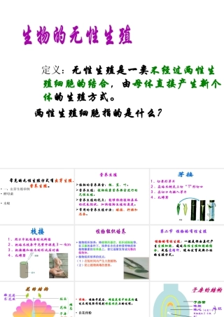 八年级生物下册 第八单元 生物的生殖、发育与遗传 第二十一章 生物的生殖与发育 第一节 生物的无性生殖课件2（新版）苏教版-（新版）苏教级下册生物课件