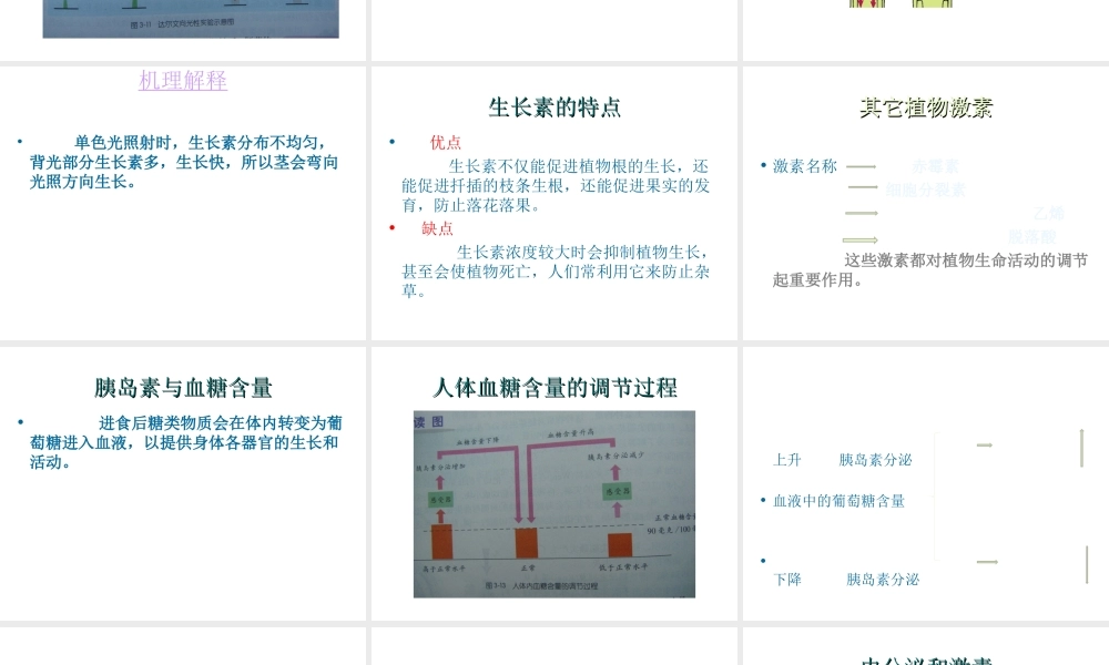 八年级科学上册 第3章 生命活动的调节 第二节神奇的激素 课件浙教版