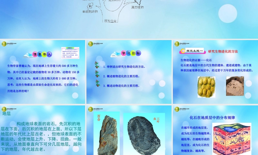 八年级生物下册 第二十二章 第二节 生物进化的历程课件 苏科版