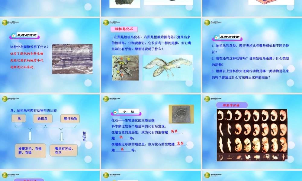 八年级生物下册 第二十二章 第二节 生物进化的历程课件 苏科版