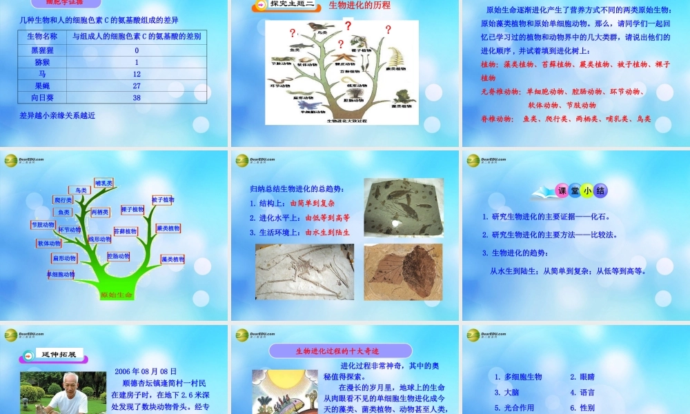 八年级生物下册 第二十二章 第二节 生物进化的历程课件 苏科版