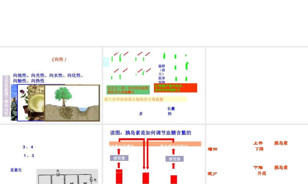 八年级科学上册 第3章 生命活动的调节 复习课件浙教版