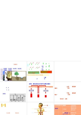 八年级科学上册 第3章 生命活动的调节 复习课件浙教版