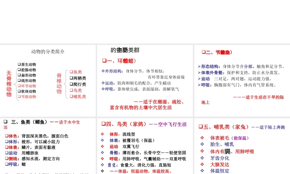 八年级生物下册 第二十二章 第三节 动物的主要类群复习课件 北师大版